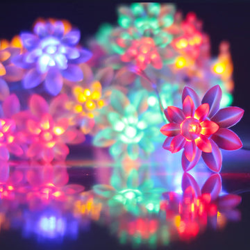 16 led Double Flower String  Lights Multi Color