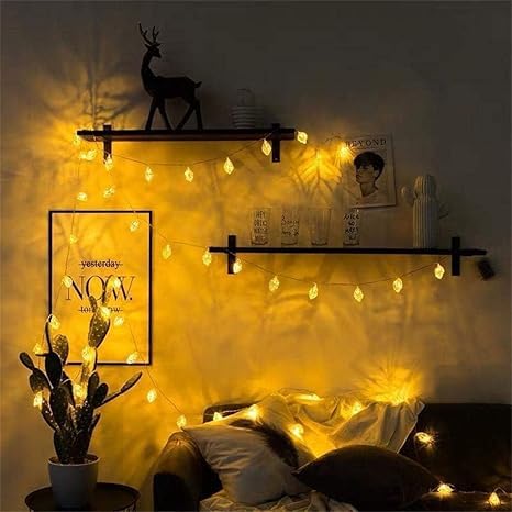 14 2D Leaf Shape String  Lights 4 MTR