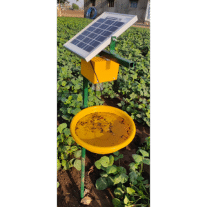 SHYAM INNOVATIONS Solar Insect Light Traper 4 W Made In India
